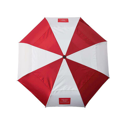 42 Inch Folded Double Layer Umbrella Auto Open And Close Umbrella
