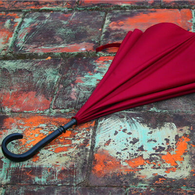 Single Layer Reverse Umbrellas Waterproof Polyester Manual Open Umbrella