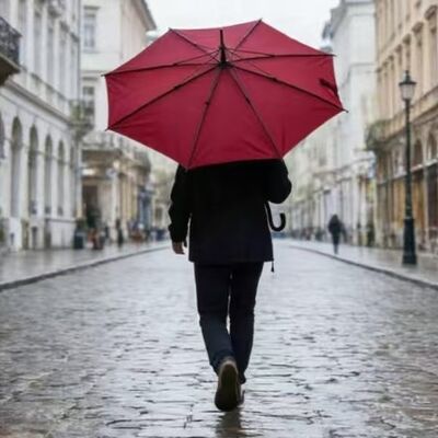 Single Layer Reverse Umbrellas Waterproof Polyester Manual Open Umbrella