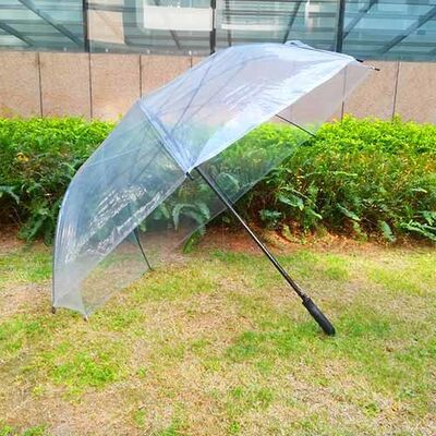 Large Size Automatic Open Transparent Umbrella With Straight Handle