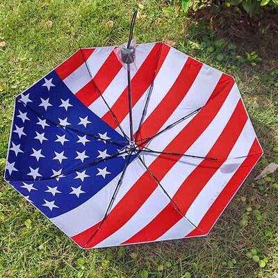 42-inch Diameter Compact Umbrella with 190T Pongee Fabric and Fiberglass Ribs for Insurance Promotions