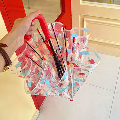 Apollo Children's Transparent Rain Umbrella / Dome Shaped Umbrella With Colorful Prints