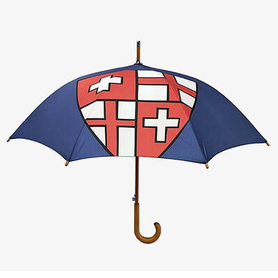 Custom Automatic Open Straight Umbrella For Loyola International School