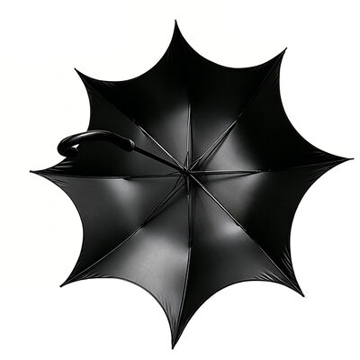 Gothic black long handle umbrella