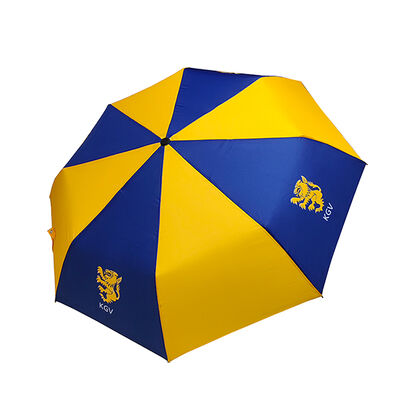 21 Inch Sublimation Printed Aluminum Frame Promotional Folding Umbrella for School Charity Fundraising