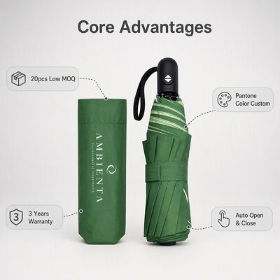 Custom Branded Auto Open Close Compact Folding Umbrella with 8 Fiberglass Windproof Ribs and 190T Waterproof Pongee